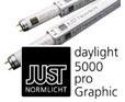 Daylight 5000 Pro Graphic